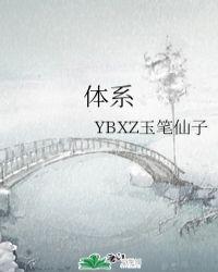 体系是什么意思?