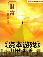 资本的游戏pdf