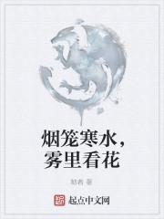 烟笼寒水月笼沙是什么意思