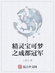 精灵宝可梦成都地区特产