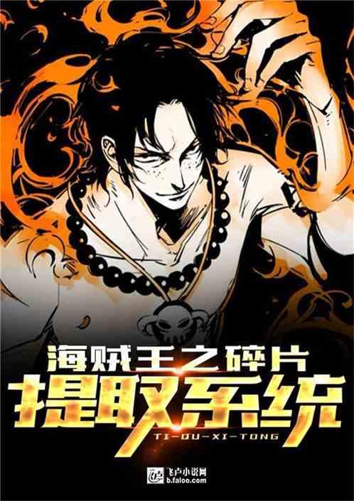 海贼王之碎片提取系统epub