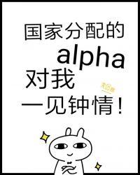 国家分配的alpha对我一见钟情在线