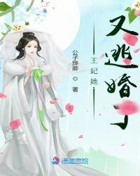 夏琳王妃为什么逃婚