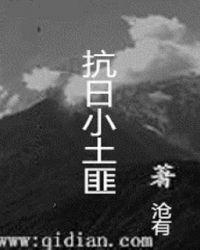 抗日小土匪动漫