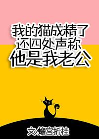 我的猫成精了还四处声称他是我老公免费