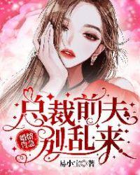 婚情告急总裁前夫别乱来 易小宝