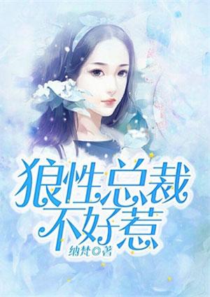 漂亮女总裁不好惹