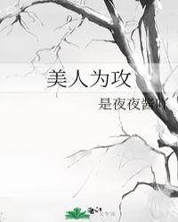 美人为攻山河不倦TXT