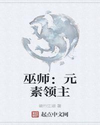 巫师元素领主TXT精校版