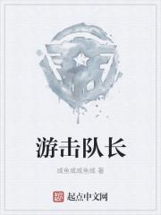 游击队长是什么级别