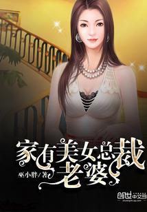 美女总裁老婆(流浪)无弹窗全文阅读