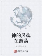 灵魂游荡的是什么样子