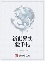 新世界实验手札怎么用