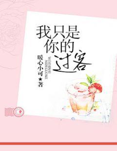 我只是你的过客是什么歌