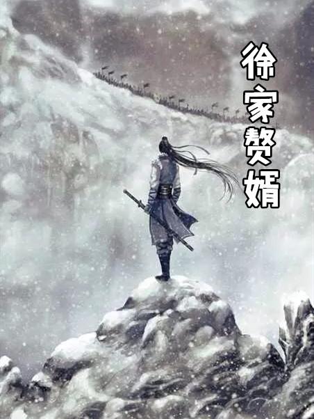 徐家赘婿柳无邪徐凌雪