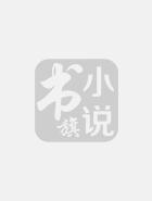 最强魔法师的隐遁计划web版