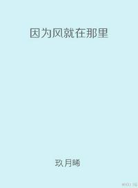 因为风就在那里无删减版