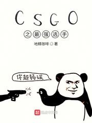 CSgo之最强选手