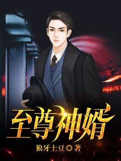 绝世赘婿叶昊免费完结版