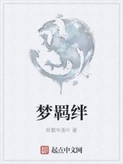 源梦计划是什么