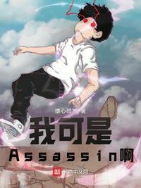 型月我可是assassin啊txt