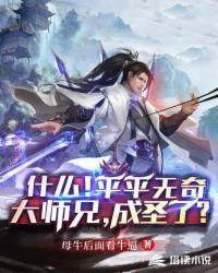 平平无奇大师兄的境界