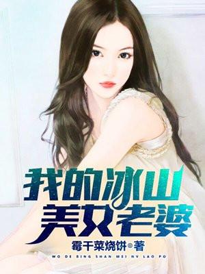 我的冰山美女老婆爱奇文学