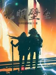 光明壁垒免费阅读无错版