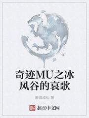 奇迹mu冰风谷刷怪点坐标