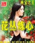 花丛炼心作者林宝之王