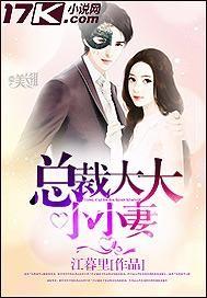 小小冰山总裁宠妻如命