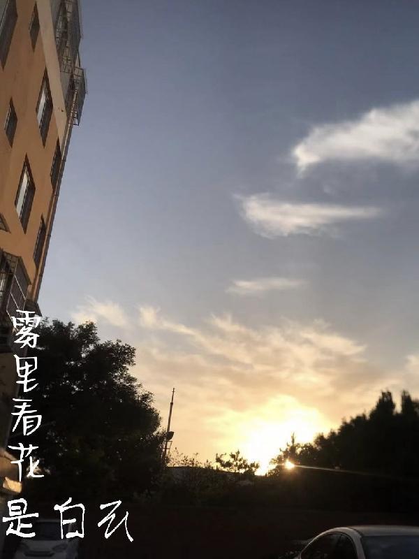 雾里看花几回眸什么意思