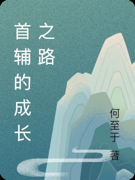 首辅长成手册