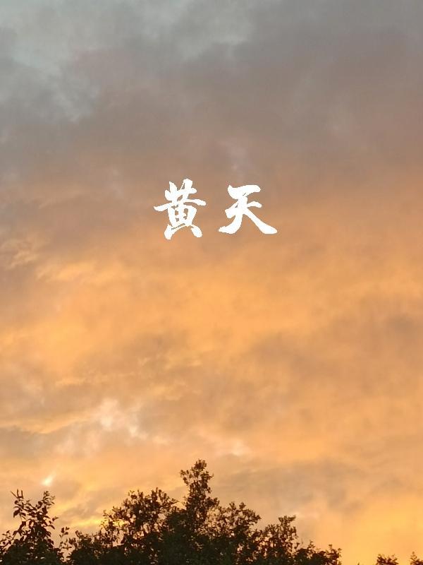 黄天源糕点