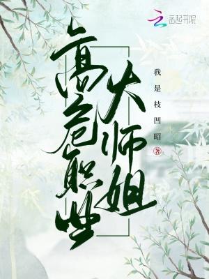 高危职业之二师姐