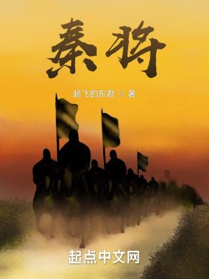 秦将军智能锁属于什么档次