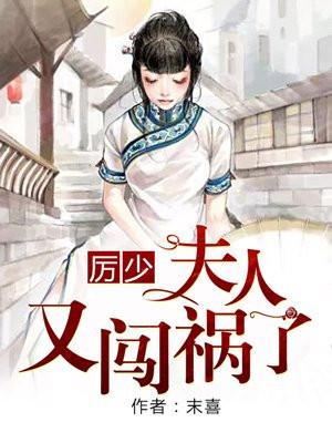 夫人又闯祸了 正版