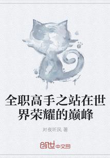 全职高手之站在荣耀之巅