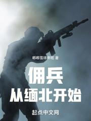 我在缅北当佣兵TXT链接