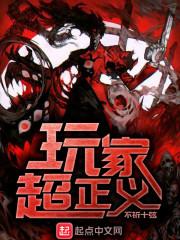 玩家超正义epub