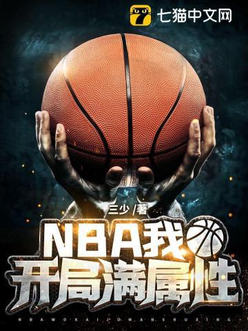 nba我开局满属性完本