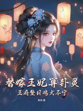 替嫁王妃遗书