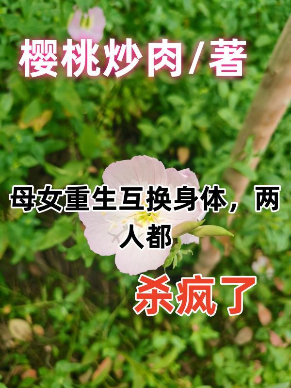 电视剧母女互换