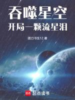 吞噬星空开局一颗流星泪乐阅读