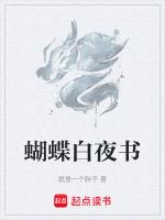 白夜系列书