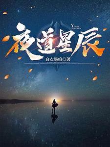 夜星辰什么意思