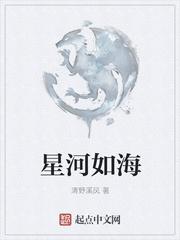 长风如海星河耿