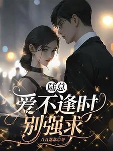 婚不逢时陆少