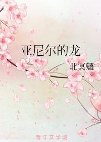 尼尔亚当坑在哪个传送点