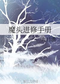 教师进修手册